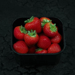 VERSE AARDBEIEN